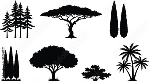 Collection of tree silhouettes isolated on white background, vector set including pine, cypress, palm and acacia trees for landscape design illustration