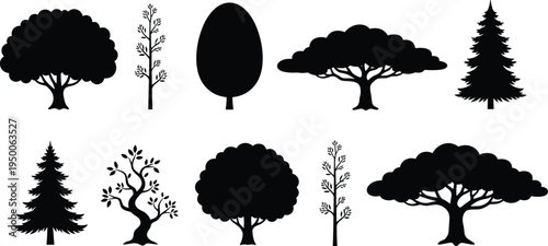 Collection of tree silhouettes isolated on white background, vector set of pine, deciduous and ornamental trees for landscape design illustration