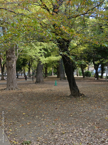 公園の風景