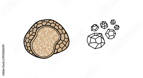 Truffle Salt Line art vector creative vibrant abstract tone