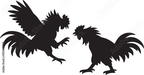 Roosters Fighting Silhouettes on White Background