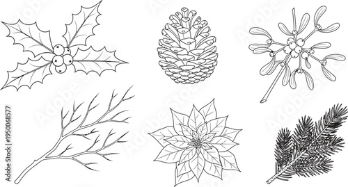 Collection of hand drawn winter holiday plants featuring holly mistletoe pine cone and poinsettia perfect for Christmas and seasonal design projects