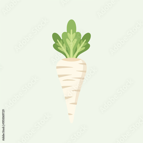 White Radish Root Vegetable with Leaves 1.
