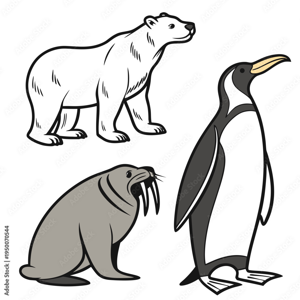 Obraz premium Polar bear, penguin, and walrus isolated on white background, line art illustration, marine mammal, animal illustration, animal drawing