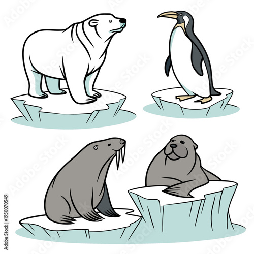 Arctic and antarctic animals on ice floes: polar bear, penguin, walrus, and seal, ice floe, animal illustration, marine mammal, white background, animal group