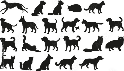 Cat and dog silhouettes, pet figures collection, animal poses illustration, sitting walking stretching, black silhouettes, domestic pets inspiration, design reference