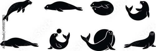 Black silhouette vector illustration of playful seals in various poses, marine wildlife art showcasing aquatic mammals with expressive stylized details.