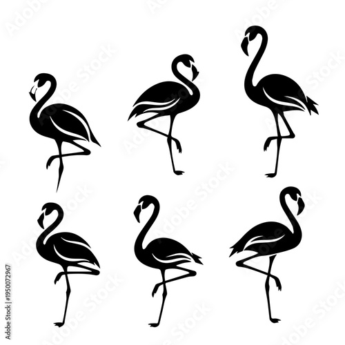 Elegant Tropical Flamingo Silhouettes Collection, capturing the concept of exotic avian beauty