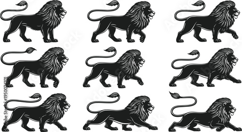Lion walking pose vintage engraving illustration set featuring detailed wild animal silhouettes for heraldry, wildlife, and decorative design