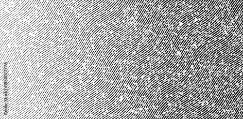 Abstract halftone wave vector background. Black and white engraving style texture with wavy lines and grain noise for retro poster and grunge design.