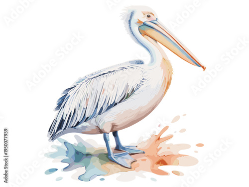 Watercolor illustration of a pelican bird with large beak standing above soft colorful paint splash