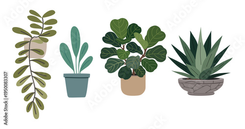 Soft illustrated plants in minimalist style. Leafy greens, ferns, and spiky succulents in simple pots. Pastel tones, gentle strokes, and clean white background. Perfect for eco-themed designs