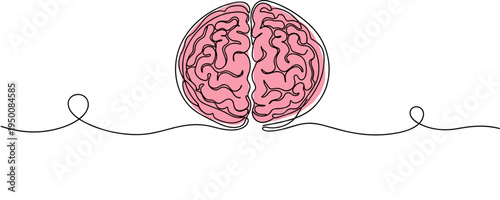 Human brain split displayed on continuous line white background. no editable strokes