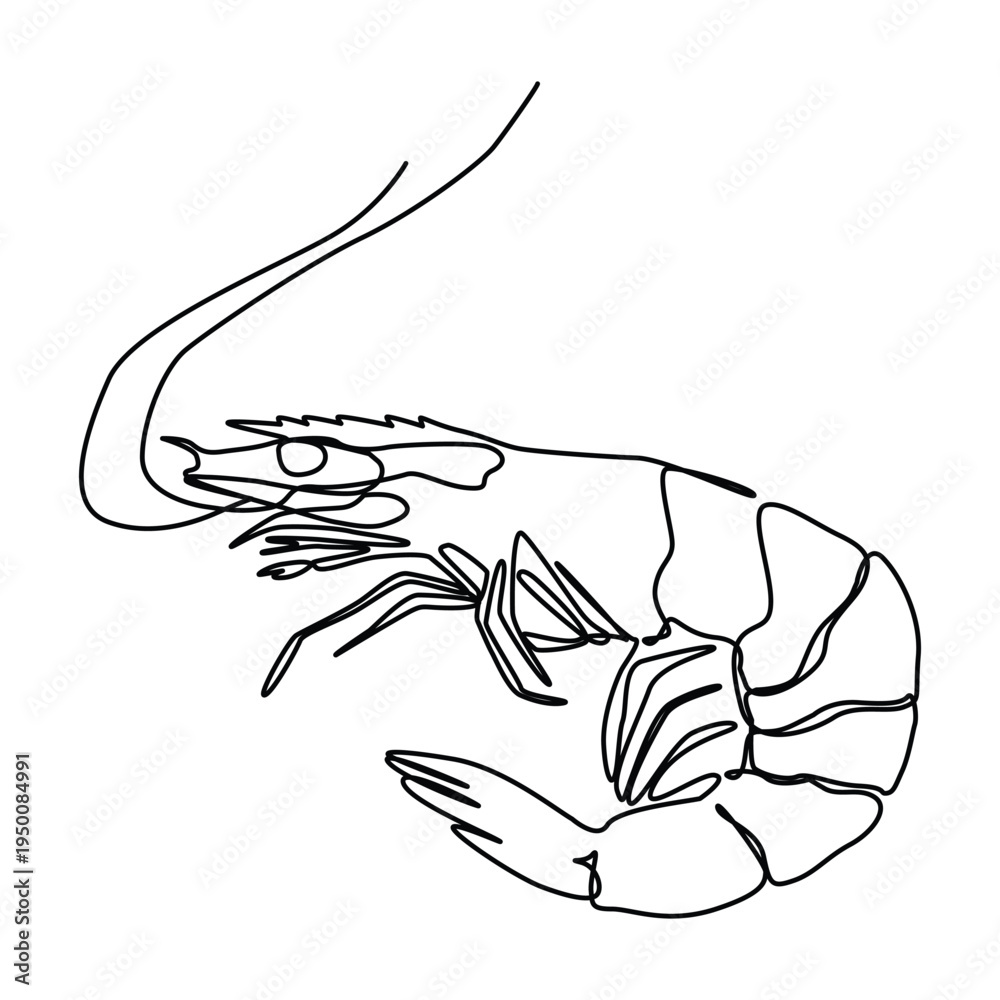 Fototapeta premium continuous one line art of fresh shrimp for seafood logo identity. Prawn mascot concept for Chinese restaurant icon. 