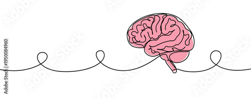 Human brain depicted in continuous line on white background. no editable strokes