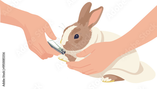 Rabbit grooming session, affectionate atmosphere, pet care, with a gentle touch on a transparent background