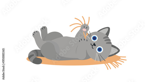 Cute gray cat playing with whiskers on a soft mat on a transparent background