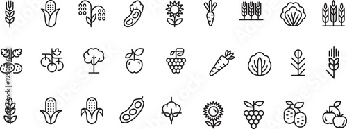 Organic food and crops icons set healthy eating vegetables fruits and grains line art
