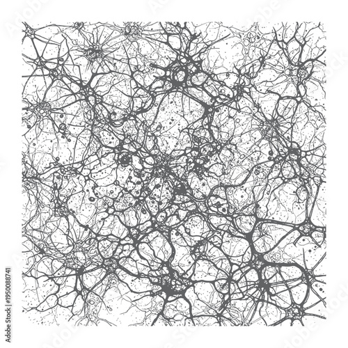 Neuron network connections in the brain with many synapses and dendrites  neuroscience concept