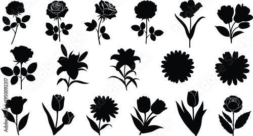 Collection of black flower silhouettes including roses lilies tulips and daisies rose silhouette lily silhouette