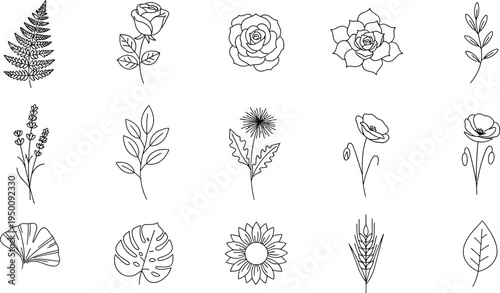 Collection of black line botanical including fern rose lavender sunflower and leaves