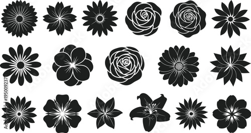Collection of black silhouette flower with white outlines and details
