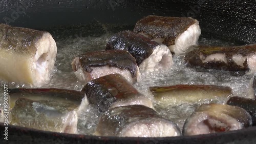 Close up of Eel fish being fried in a pan. Frying eel pieces in a plate