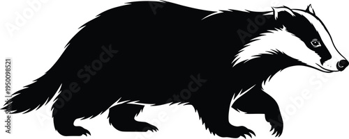 Badger animal silhouette illustration, wild forest mammal side view, wildlife nature icon, black badger graphic isolated on white