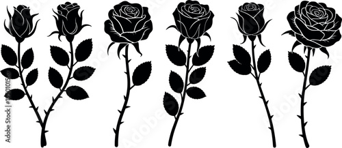Silhouette of rose flowers collection set, beautiful floral elements for wedding, valentine and romantic gift design
