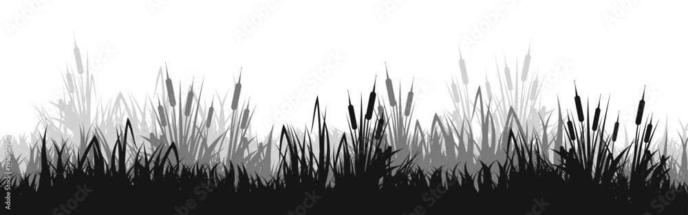 Obraz premium Meadow silhouette with grass, plants on plain. Panoramic summer lawn landscape with herbs, various weeds. Herbal border, frame element. Black horizontal banners. Vector illustration