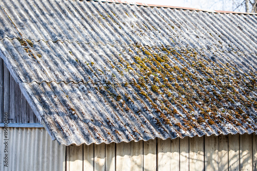 Old Asbestos Cement Roof Sheets Covered With Moss on Aging Rural Building