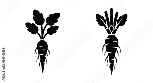 Black and white illustration of two root vegetables a radish and carrot