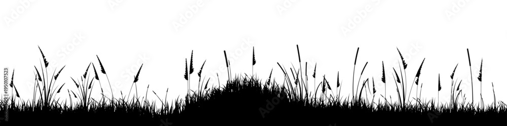 Obraz premium Meadow silhouette with grass, plants on plain. Panoramic summer lawn landscape with herbs, various weeds. Herbal border, frame element. Black horizontal banners. Vector illustration