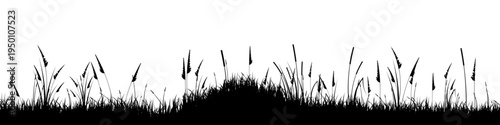 Meadow silhouette with grass, plants on plain. Panoramic summer lawn landscape with herbs, various weeds. Herbal border, frame element. Black horizontal banners. Vector illustration