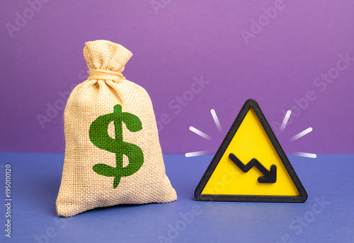 Quadro su tela The dollar is a money bag and a downward arrow