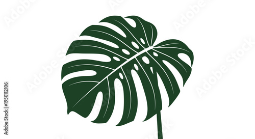 Detailed botanical illustration of a dark green monstera leaf with iconic holes and shadows on a clean white background for interior design.