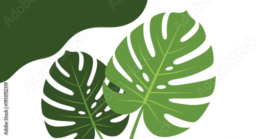 Stylized illustration of green monstera deliciosa leaves with a large dark green abstract organic shape on a white background for modern decor.