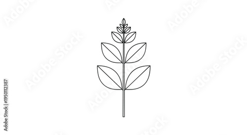 Simple symmetrical line drawing of a plant stem with several pairs of oval leaves on a plain white background for minimalist design.