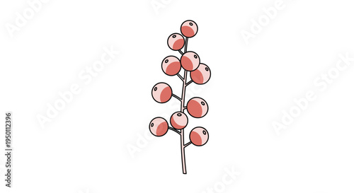 Simple hand drawn illustration of a single plant stem with multiple round red berries on a clean white background for botanical decor.