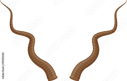 Kudu horns illustration showing curved striped animal antlers