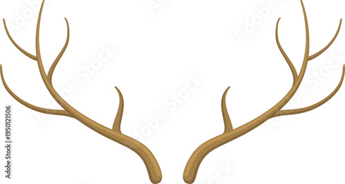 Deer antlers forming a natural headpiece