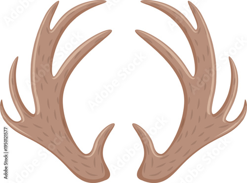 Deer antlers graphic illustration displaying natural wildlife element