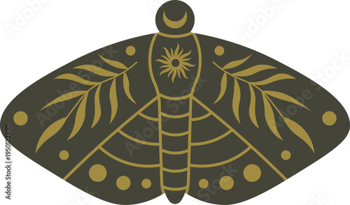 Mystical moth drawing featuring celestial sun and moon symbols