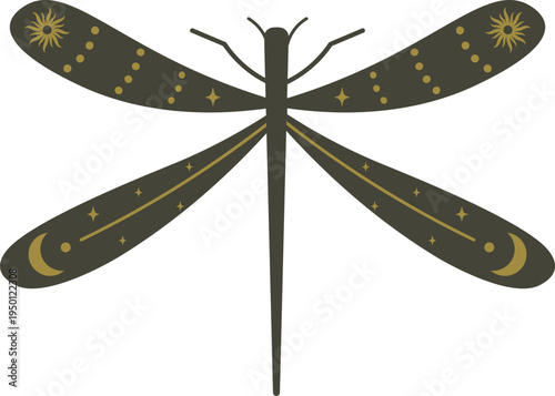 Dragonfly with celestial wings cosmic pattern illustration