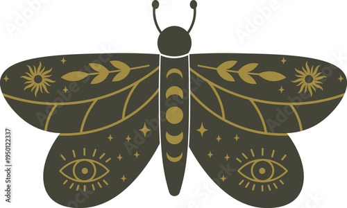 Mystic butterfly pattern seeing cosmic celestial symbols