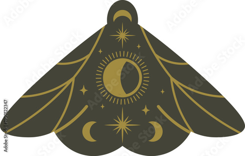 Cosmic moth featuring sun moon and stars illustration