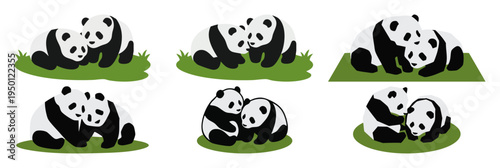 ANDA TWINS - Two panda cubs huddled together on a grassy patch  Flat Vector Illustration on Transparent Background