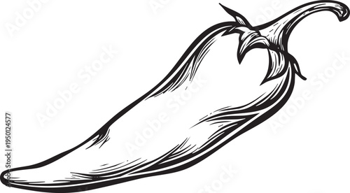minimalist black and white outline drawing of a hot chili pepper, perfect for spicy food and restaurant designs