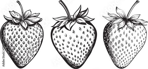 detailed black and white outline drawing of a sweet strawberry, ideal for berry and dessert illustrations