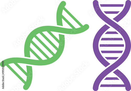 Dna double helix structure illustration with green and purple molecules
